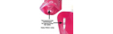 Hydromate Foldable Bottle - Various colours