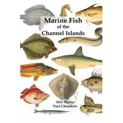 Marine Fish of the Channel...