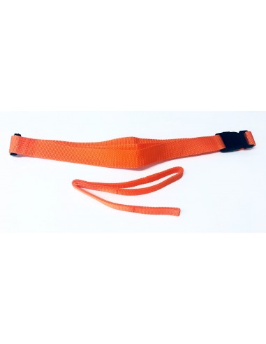 Swim Secure Leash and waist belt